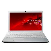 Packard Bell EasyNote TS44 (LX.BZ301.001)